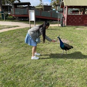 Meet your Posher, Akshita